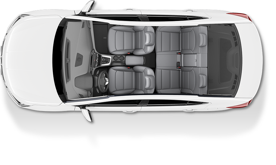 رمادي ذو نغمتين 